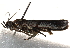  ( - BIOUG17459-F03)  @12 [ ] CreativeCommons - Attribution (2014) CBG Photography Group Centre for Biodiversity Genomics