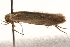  ( - BIOUG17460-H01)  @12 [ ] CreativeCommons - Attribution (2014) CBG Photography Group Centre for Biodiversity Genomics