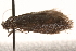  ( - BIOUG17460-H02)  @13 [ ] CreativeCommons - Attribution (2014) CBG Photography Group Centre for Biodiversity Genomics