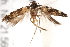  ( - BIOUG17526-F02)  @12 [ ] CreativeCommons - Attribution (2014) CBG Photography Group Centre for Biodiversity Genomics