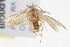 ( - BIOUG17528-E04)  @12 [ ] CreativeCommons - Attribution (2014) CBG Photography Group Centre for Biodiversity Genomics