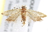  ( - BIOUG17528-G02)  @13 [ ] CreativeCommons - Attribution (2014) CBG Photography Group Centre for Biodiversity Genomics