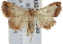  ( - BIOUG17529-E02)  @13 [ ] CreativeCommons - Attribution (2014) CBG Photography Group Centre for Biodiversity Genomics