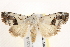  ( - BIOUG18084-A04)  @14 [ ] CreativeCommons - Attribution (2015) CBG Photography Group Centre for Biodiversity Genomics