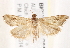  ( - BIOUG18084-G01)  @14 [ ] CreativeCommons - Attribution (2015) CBG Photography Group Centre for Biodiversity Genomics