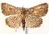  ( - BIOUG18084-G03)  @14 [ ] CreativeCommons - Attribution (2015) CBG Photography Group Centre for Biodiversity Genomics