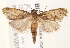  ( - BIOUG18084-G09)  @14 [ ] CreativeCommons - Attribution (2015) CBG Photography Group Centre for Biodiversity Genomics