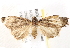  ( - BIOUG18084-H05)  @14 [ ] CreativeCommons - Attribution (2015) CBG Photography Group Centre for Biodiversity Genomics