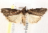  ( - BIOUG18084-H07)  @14 [ ] CreativeCommons - Attribution (2015) CBG Photography Group Centre for Biodiversity Genomics