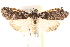  ( - BIOUG18085-H03)  @14 [ ] CreativeCommons - Attribution (2015) CBG Photography Group Centre for Biodiversity Genomics