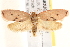  ( - BIOUG18086-B02)  @12 [ ] CreativeCommons - Attribution (2015) CBG Photography Group Centre for Biodiversity Genomics