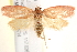  ( - BIOUG18086-B07)  @13 [ ] CreativeCommons - Attribution (2015) CBG Photography Group Centre for Biodiversity Genomics