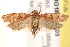  ( - BIOUG18086-E03)  @13 [ ] CreativeCommons - Attribution (2015) CBG Photography Group Centre for Biodiversity Genomics