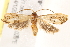  ( - BIOUG18086-H05)  @13 [ ] CreativeCommons - Attribution (2015) CBG Photography Group Centre for Biodiversity Genomics
