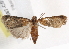  ( - BIOUG18087-C02)  @13 [ ] CreativeCommons - Attribution (2015) CBG Photography Group Centre for Biodiversity Genomics