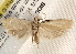  ( - BIOUG18087-C09)  @13 [ ] CreativeCommons - Attribution (2015) CBG Photography Group Centre for Biodiversity Genomics