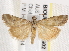  ( - BIOUG18087-G02)  @14 [ ] CreativeCommons - Attribution (2015) CBG Photography Group Centre for Biodiversity Genomics