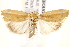  ( - BIOUG18088-E07)  @14 [ ] CreativeCommons - Attribution (2015) CBG Photography Group Centre for Biodiversity Genomics