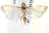  ( - BIOUG18088-H05)  @13 [ ] CreativeCommons - Attribution (2015) CBG Photography Group Centre for Biodiversity Genomics