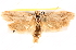  ( - BIOUG18089-E07)  @12 [ ] CreativeCommons - Attribution (2015) CBG Photography Group Centre for Biodiversity Genomics