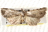  ( - BIOUG18089-G05)  @14 [ ] CreativeCommons - Attribution (2015) CBG Photography Group Centre for Biodiversity Genomics