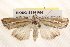  ( - BIOUG18346-F04)  @15 [ ] CreativeCommons - Attribution (2015) CBG Photography Group Centre for Biodiversity Genomics
