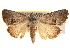  ( - BIOUG18347-B04)  @13 [ ] CreativeCommons - Attribution (2015) CBG Photography Group Centre for Biodiversity Genomics