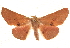  ( - BIOUG18347-D02)  @15 [ ] CreativeCommons - Attribution (2015) CBG Photography Group Centre for Biodiversity Genomics
