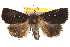  ( - BIOUG18347-G02)  @14 [ ] CreativeCommons - Attribution (2015) CBG Photography Group Centre for Biodiversity Genomics