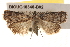  ( - BIOUG18348-B02)  @14 [ ] CreativeCommons - Attribution (2015) CBG Photography Group Centre for Biodiversity Genomics