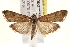  ( - BIOUG18348-F04)  @14 [ ] CreativeCommons - Attribution (2015) CBG Photography Group Centre for Biodiversity Genomics