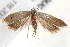  ( - BIOUG18349-E04)  @13 [ ] CreativeCommons - Attribution (2015) CBG Photography Group Centre for Biodiversity Genomics