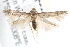  ( - BIOUG18610-A06)  @14 [ ] CreativeCommons - Attribution (2015) CBG Photography Group Centre for Biodiversity Genomics