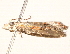  ( - BIOUG18610-C11)  @12 [ ] CreativeCommons - Attribution (2015) CBG Photography Group Centre for Biodiversity Genomics