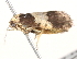  ( - BIOUG18610-H05)  @12 [ ] CreativeCommons - Attribution (2015) CBG Photography Group Centre for Biodiversity Genomics