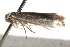  ( - BIOUG18611-F03)  @13 [ ] CreativeCommons - Attribution (2015) CBG Photography Group Centre for Biodiversity Genomics