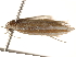  ( - BIOUG18612-C07)  @12 [ ] CreativeCommons - Attribution (2015) CBG Photography Group Centre for Biodiversity Genomics