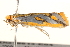  ( - BIOUG18613-E04)  @13 [ ] CreativeCommons - Attribution (2015) CBG Photography Group Centre for Biodiversity Genomics