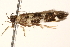  ( - BIOUG18801-C01)  @13 [ ] CreativeCommons - Attribution (2015) CBG Photography Group Centre for Biodiversity Genomics