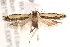  ( - BIOUG18803-G10)  @14 [ ] CreativeCommons - Attribution (2015) CBG Photography Group Centre for Biodiversity Genomics