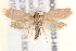  ( - BIOUG18803-H02)  @14 [ ] CreativeCommons - Attribution (2015) CBG Photography Group Centre for Biodiversity Genomics