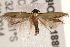  ( - BIOUG18804-A07)  @14 [ ] CreativeCommons - Attribution (2015) CBG Photography Group Centre for Biodiversity Genomics