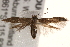  ( - BIOUG18804-A09)  @14 [ ] CreativeCommons - Attribution (2015) CBG Photography Group Centre for Biodiversity Genomics