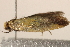  ( - BIOUG18804-B07)  @12 [ ] CreativeCommons - Attribution (2015) CBG Photography Group Centre for Biodiversity Genomics