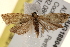  ( - BIOUG18804-C01)  @13 [ ] CreativeCommons - Attribution (2015) CBG Photography Group Centre for Biodiversity Genomics
