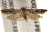  ( - BIOUG18804-F03)  @12 [ ] CreativeCommons - Attribution (2015) CBG Photography Group Centre for Biodiversity Genomics