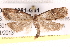  ( - BIOUG19081-G01)  @13 [ ] CreativeCommons - Attribution (2015) CBG Photography Group Centre for Biodiversity Genomics