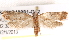  ( - BIOUG19081-G02)  @13 [ ] CreativeCommons - Attribution (2015) CBG Photography Group Centre for Biodiversity Genomics