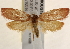  ( - BIOUG19083-C04)  @13 [ ] CreativeCommons - Attribution (2015) CBG Photography Group Centre for Biodiversity Genomics