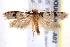 ( - BIOUG19084-A02)  @14 [ ] CreativeCommons - Attribution (2015) CBG Photography Group Centre for Biodiversity Genomics